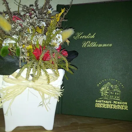 Gasthaus-pension Herberger Курорт Обервизенталь